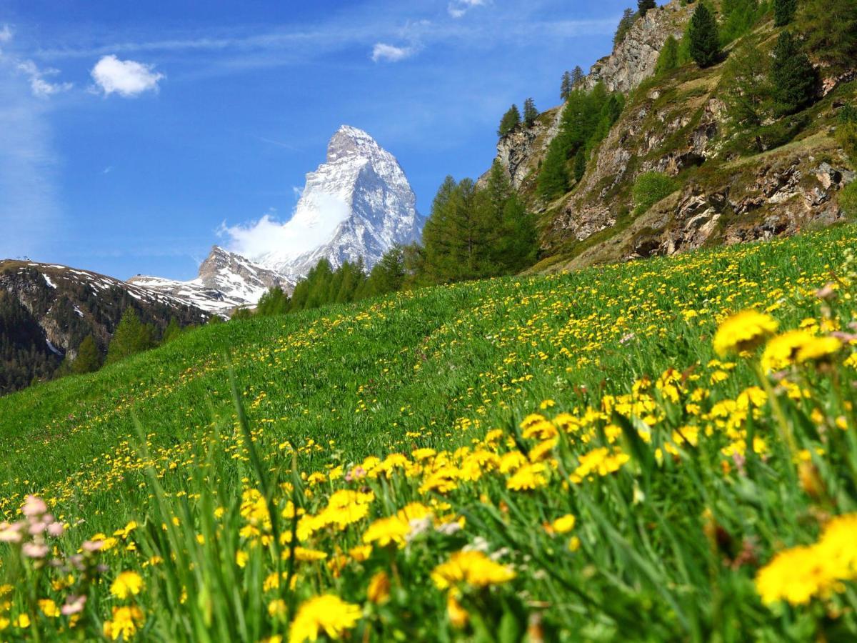 Apartment La Prairie By Interhome Zermatt Esterno foto